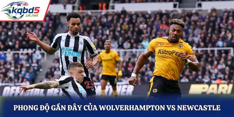 Đánh giá phong độ để soi kèo Wolverhampton vs Newcastle