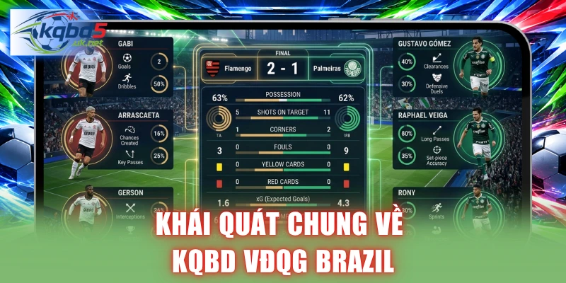 Khái quát chung về KQBD VĐQG Brazil